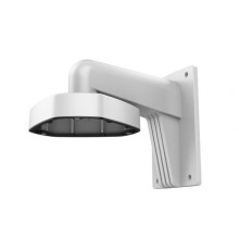 DS-1273ZJ-DM25(M1