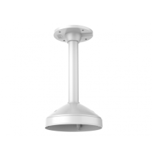 DS-1271ZJ-DM25(M1