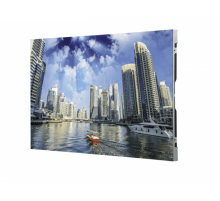 DS-D4215FI-CBFC