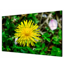 DS-D2055LE-G